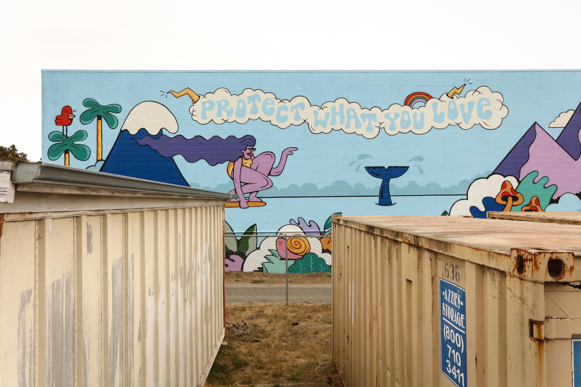 https://seawalls.org/wp-content/uploads/2022/04/Hannah_Eddy_Santa_Cruz_2021_%C2%A9Tre_Packard_13.jpg